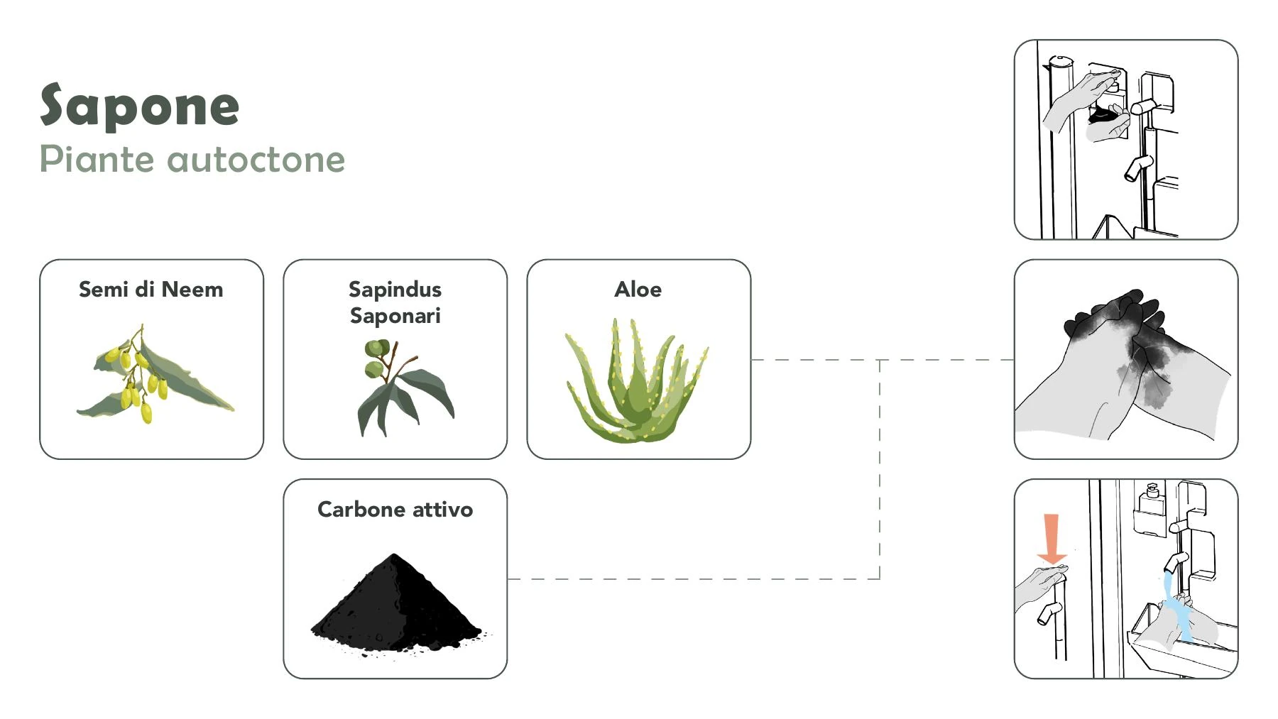 Bìos soap and native plants page