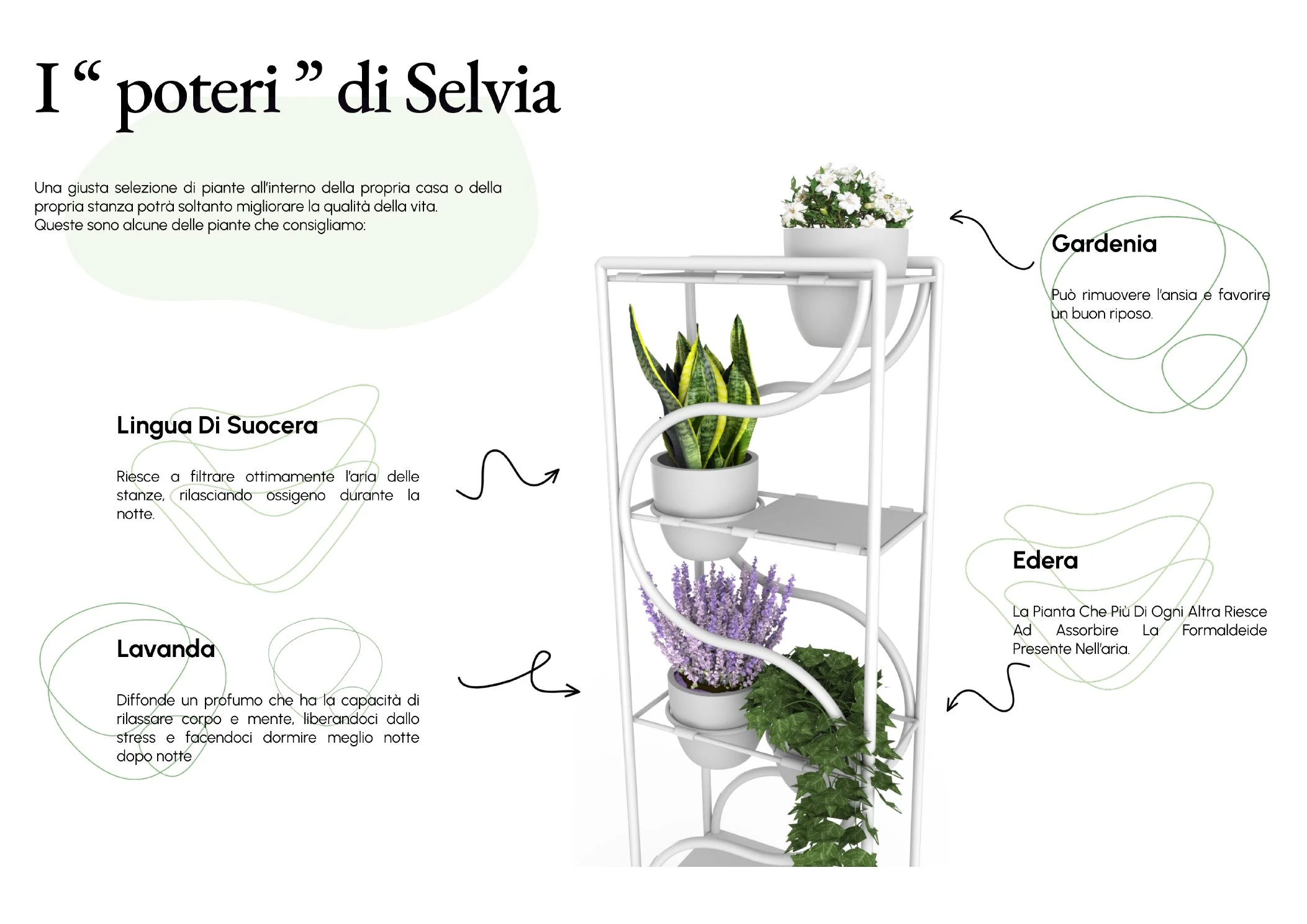 Selvia plant benefits page explaining gardenia, lavender, basil, and water storage